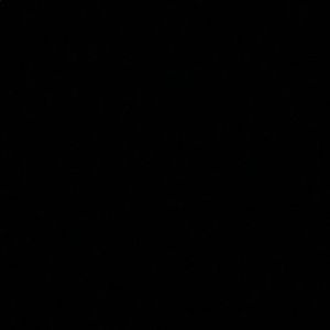 Meet your Posher, Ally